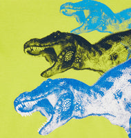 Boys Long Sleeve Triple T-Rex Graphic Top